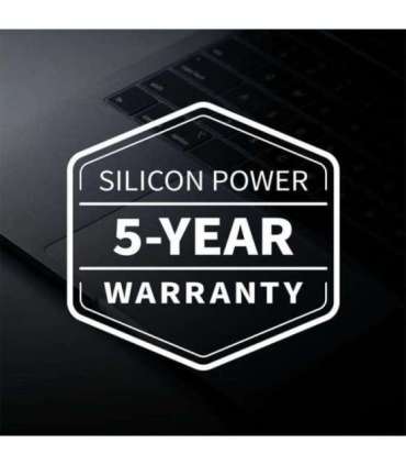 Silicon Power SP01KGBP44XS75S5 XS75 SSD, 1 TB, M.2, PCIe Gen 4x4, DRAM-Less, 3D NAND, 7000 MB/s