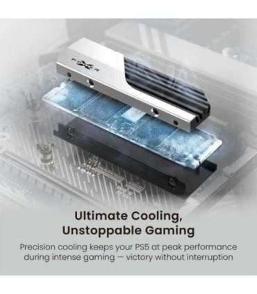 Silicon Power SP02KGBP44XS75S XS75 SSD, 2 TB, M.2, PCIe Gen 4x4, DRAM-Less, 3D NAND, 7000 MB/s