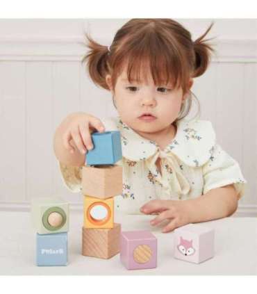 VIGA PolarB puidust sensoorsed klotsid