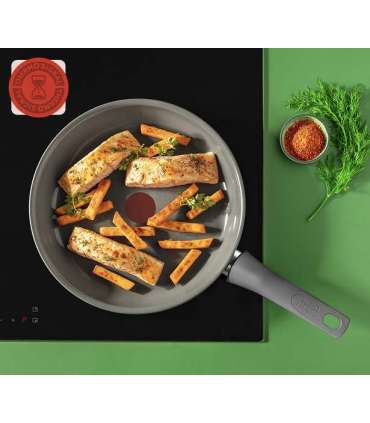 Tefal C4260443 Renewal 24 cm Grey Induction Frypan TEFAL