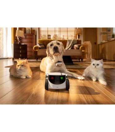 Enabot Family Robot IP Camera ROLA PetPal