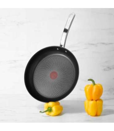 TEFAL INTUITION pan set, aluminum, suitable for induction cooker, ø 20 cm, ø 26 cm TEFAL