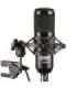DNA YOU2B - podcast kit (microphone, audio interface, tripod)