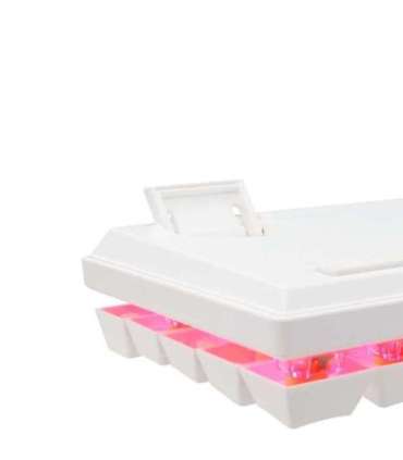 Baracuda BGK-03221 Dolphin White US Mechanical Blue Switches