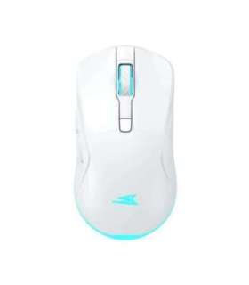 Baracuda BGM-122 Turtle White