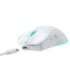 Baracuda BGM-122 Turtle White