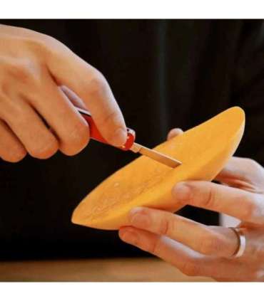 NexTool Mini Pocket Knife NE0142 4-in-1 red