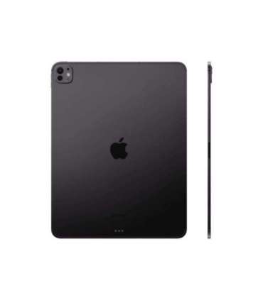 Apple 13-inch iPad Pro M5 Wi-Fi + Cellular 256GB with standard glass - Space Black Apple