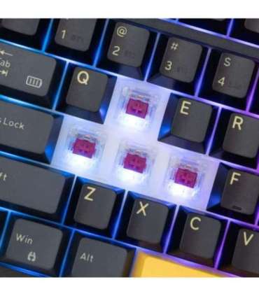 White Shark GK-007151 Excalibur Black US