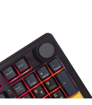 White Shark GK-007151 Excalibur Black US