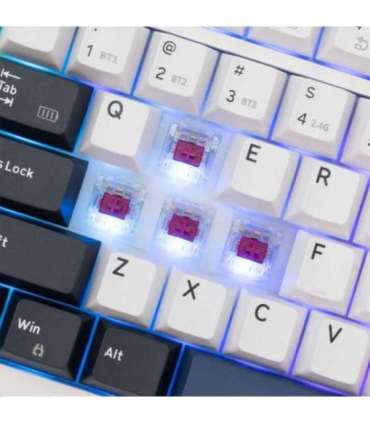 White Shark GK-007251 Excalibur White US