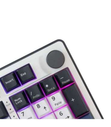 White Shark GK-007251 Excalibur White US