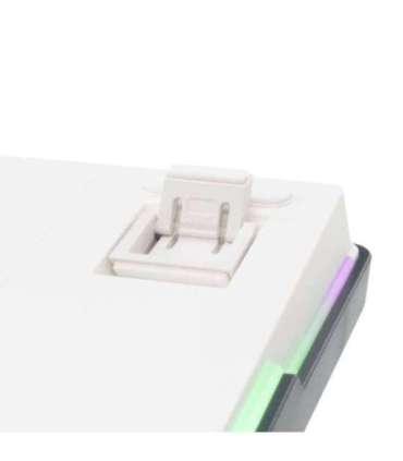 White Shark GK-007251 Excalibur White US