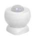 Avatto ZMS16 intelligent PIR motion sensor