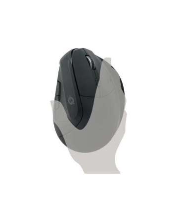 Conceptronic LORCAN03B LORCAN ERGO 6-Button Ergonomic Bluetooth Mouse, Right-hand, Optical, 1600 DPI