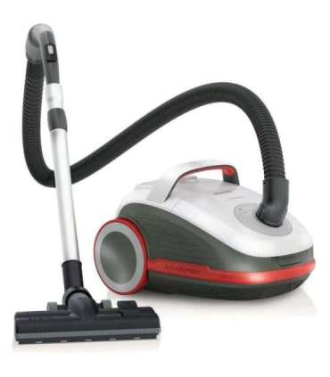 Vacuum cleaner GORENJE VCEA21GPLW