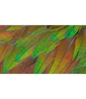 Philips Monitor 3000 Series 27B1U3900 00 (27B1U3900/00)