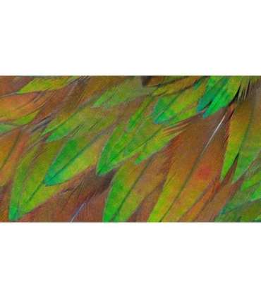 Philips Monitor 3000 Series 27B1U3900 00 (27B1U3900/00)