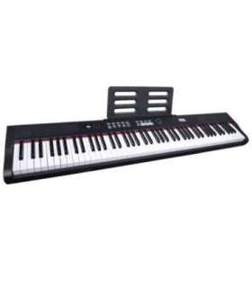 DNA PP 88 - digital piano with 88 full-size keys, black