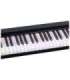 DNA SP 88 - digital piano 88 keys, black