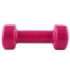 17023 VINYL DIPPING DUMBBELL 1.5KG HMS