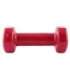 17023 VINYL DIPPING DUMBBELL 2.0KG HMS