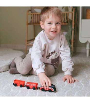 WOOPIE Zestaw Elektryczna Kolejka Lokomotywa Tor Farma Zwierzęta 70 el.