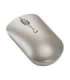 Lenovo 540 mouse Office Ambidextrous RF Wireless Optical 2400 DPI