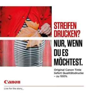 Canon GI 55 BK 70 ml Schwarz original Hängebox (6292C001)