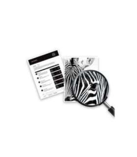 HP Ink No 920 HP920 HP 920 XL Yellow Gelb (CD974AE)