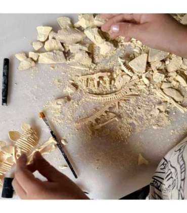 WOOPIE Zabawka Kreatywna Dinozaur Szkielet Wykopalisko Archeologiczne