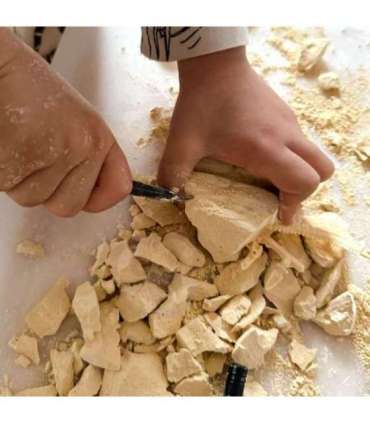 WOOPIE Zabawka Kreatywna Dinozaur Szkielet Wykopalisko Archeologiczne