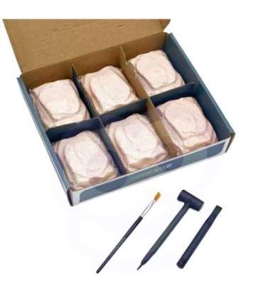 WOOPIE Zabawka Kreatywna Dinozaur Szkielet Wykopalisko Archeologiczne