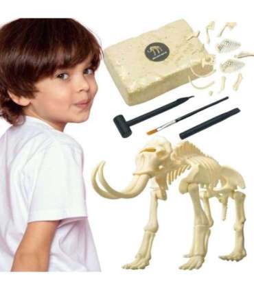 WOOPIE Zabawka Kreatywna Dinozaur Szkielet Wykopalisko Archeologiczne
