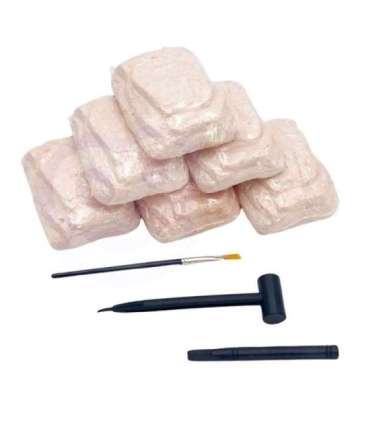 WOOPIE Wykopaliska Dinozaurów 6 Losowych Figurek Szkieletów Dinozaurów