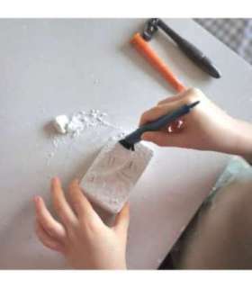 WOOPIE Wykopalisko "Mały Archeolog" 6 Szkieletów Dinozaurów