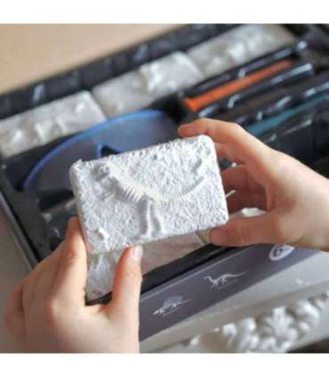 WOOPIE Wykopalisko "Mały Archeolog" 6 Szkieletów Dinozaurów