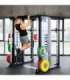 TRYTON TRAINING GATE WITH SMITH MACHINE 3D - DUAL PULLEY AND WEIGHT STACK COMMERCIAL HMS