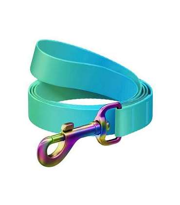 WAUDOG gradient nylon dog leash, 20 mm wide, 122 cm long blue