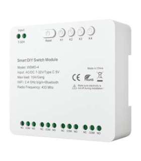 DIY Avatto WSMD-4 32V smart switch module