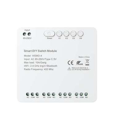 DIY Avatto WSMD-4 250V smart switch module