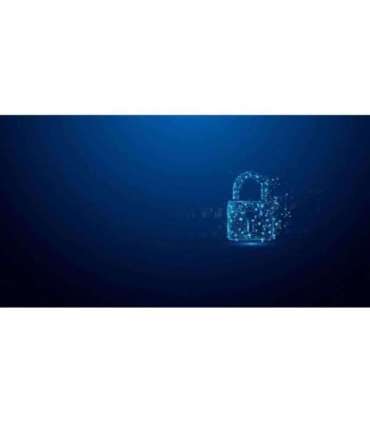 Kingston Technology 7.68TB DC3000ME U.2 PCIe 5.0 NVMe TCG Opal Enterprise SSD