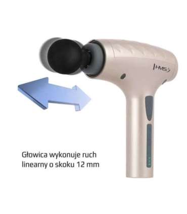 PDM3134I GOLD MASSAGE GUN HMS