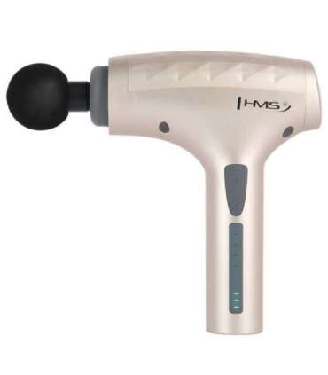 PDM3134I GOLD MASSAGE GUN HMS