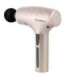 PDM3134I GOLD MASSAGE GUN HMS