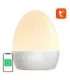 WiFi RGBW 16M Gosund LB2S Tuya smart night light