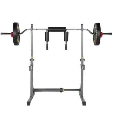 GOL320 CURL OLYMPIC BAR 220 cm