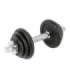 SG03 CAST IRON DUMBBELL 10 KG