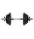 SG03 CAST IRON DUMBBELL 10 KG