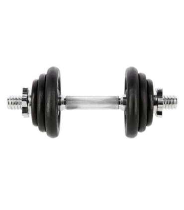 SG03 CAST IRON DUMBBELL 10 KG